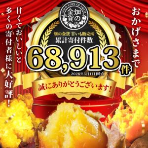 ふるさと納税 鹿児島市 畑の金貨 焼き芋紅はる...の詳細画像2