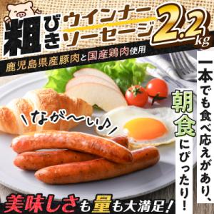 ふるさと納税 鹿児島市 訳あり粗びきウインナーソーセージセット　K161-001