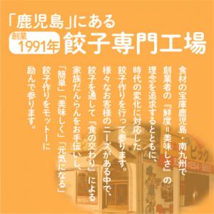 ふるさと納税 鹿児島市 ちゃこばあちゃんの黒豚...の詳細画像2