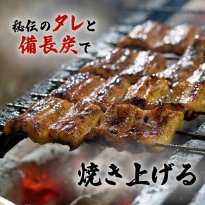 ふるさと納税 鹿児島市 鹿児島名代 うなぎ食堂...の詳細画像1