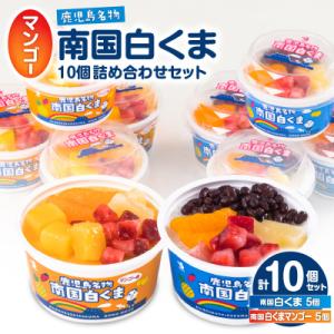 ふるさと納税 鹿児島市 セイカ食品 南国白くま・南国白くま(マンゴー)詰め合わせセット　K051-001