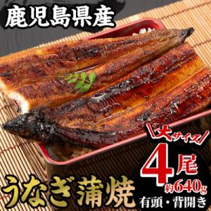 ふるさと納税 いちき串木野市 【期間限定】厳選!...の商品画像