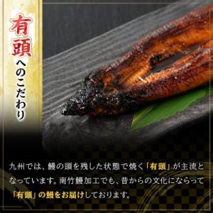 ふるさと納税 いちき串木野市 【期間限定】厳選...の詳細画像2