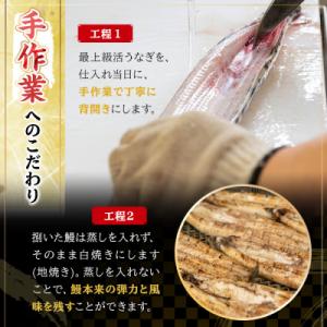 ふるさと納税 いちき串木野市 【期間限定】厳選...の詳細画像3