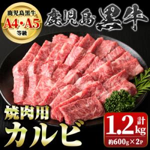 ふるさと納税 肝付町 鹿児島黒牛 A5等級 カルビ焼肉(計約1.2kg・約600g×2) 　B010...