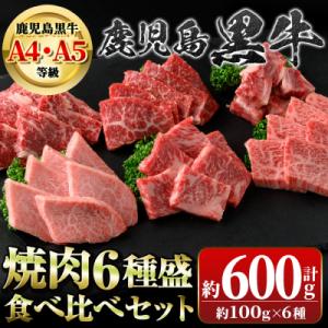 ふるさと納税 肝付町 鹿児島黒牛 食べ比べ焼肉6種盛　(計約600g・各100g×6種)　B0103...