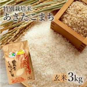 ふるさと納税 能代市 令和7年産 玄米 あきたこまち 3kg  特別栽培米[No.5335-0353]