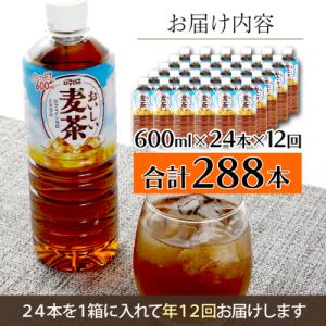 ふるさと納税 室戸市 【年12回定期便】おいしい麦茶600ml お茶 定期便 ペットボトル飲料 ドリンク ミネラル入り
