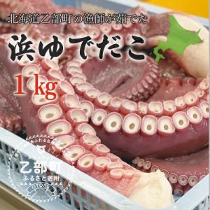 ふるさと納税 乙部町 採れたてのタコを漁師が浜ゆで!食感絶妙 お刺身で【漁師の浜ゆでたこ:約1kg】