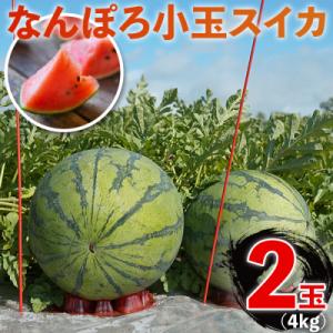 ふるさと納税 南幌町 北海道産 小玉スイカ 2玉 約4kg なんぽろ小玉すいか 8月発送 シャリシャリ食感 南幌町産