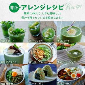 ふるさと納税 小牧市 青汁 大麦若葉100% ...の詳細画像2