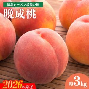 ふるさと納税 福島市 福島シーズン最後の桃『晩成桃』約3kg【2026年発送　先行受付】No.2689