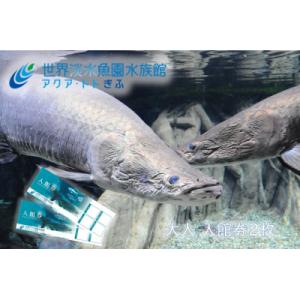 ふるさと納税 各務原市 世界淡水魚園水族館　アクア・トトぎふ　入館券(大人2枚)【506】