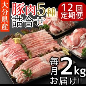 ふるさと納税 臼杵市 【12ヶ月定期便:2026年10月開始】小分けで便利♪大分県産 豚5種詰め合わ...