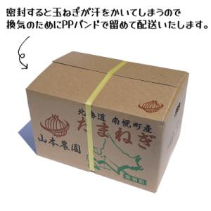 ふるさと納税 南幌町 北海道産 山本農園のたま...の詳細画像2