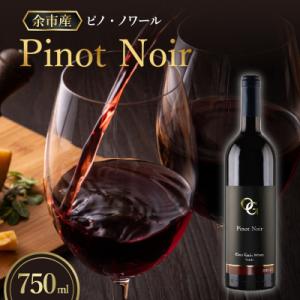 ふるさと納税 余市町 【OcciGabi Winery】 ピノ・ノワール 2021 750ml_Y0...