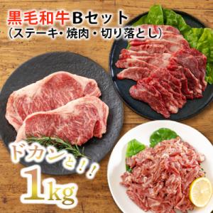 ふるさと納税 高原町 【宮崎県産】黒毛和牛Bセット1kg[ステーキ 焼肉 切り落としの3点セット] ...