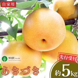 ふるさと納税 三条市 先行受付 和梨 あきづき 自家用 5kg [三条果樹専門家集団] 【010P063】