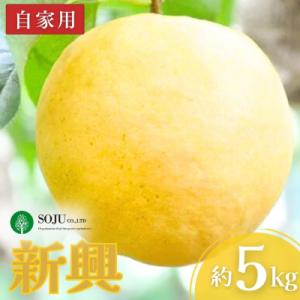 ふるさと納税 三条市 和梨 新興 自家用 5kg【010P066】