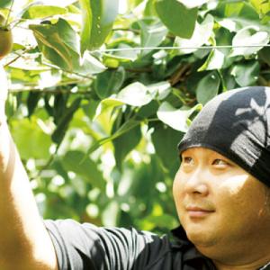 ふるさと納税 三条市 先行受付 和梨 新興 自...の詳細画像1