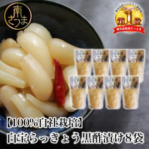 ふるさと納税 南さつま市 【鹿児島県産】〈プレミアム〉伝承蔵〜白宝らっきょう黒酢漬け〜(90g×8P)