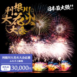 ふるさと納税 境町 【返礼品なし】利根川大花火大会応援ふるさと納税  (30000円分)  【茨城県...
