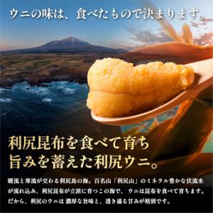 ふるさと納税 利尻町 【2027年発送受付】塩...の詳細画像2