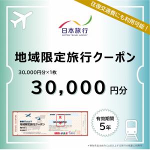 ふるさと納税 三条市 [新潟県三条市] 地域限定旅行クーポン 30,000円分 日本旅行 【100S...