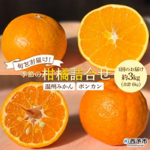 ふるさと納税 西予市 【先行受付】&lt;旬をお届け!季節の柑橘 2回定期便(温州みかん約3kg・ポンカン...
