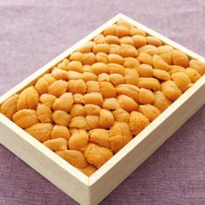 ふるさと納税 根室市 エゾバフンウニ150g×1折[2026年2月中旬以降発送] B-40026