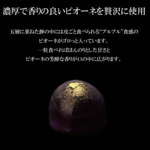 ふるさと納税 出雲市 SPオパールのぶどう ピ...の詳細画像1