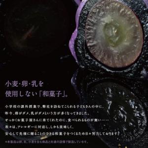 ふるさと納税 出雲市 SPオパールのぶどう ピ...の詳細画像2