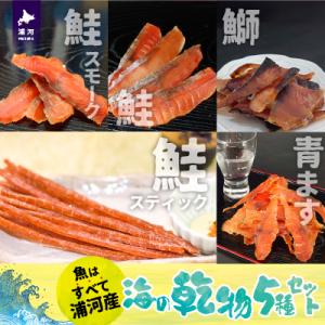 ふるさと納税 浦河町 北海道日高産 海鮮乾物5種セット[25-1298]