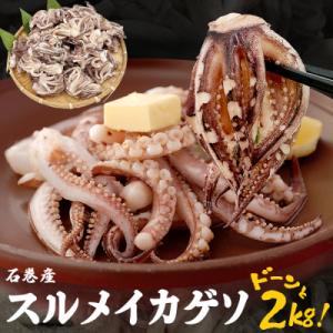 ふるさと納税 石巻市 いか 〈 訳あり 〉宮城県産 スルメイカ ゲソ 2kg 冷凍 国産 スルメイカ...