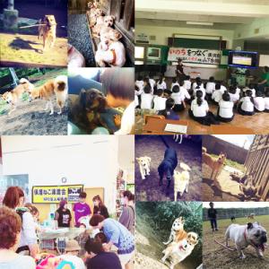 ふるさと納税 高原町 【返礼品なし】宮崎県高原...の詳細画像2