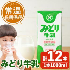 ふるさと納税 佐伯市 みどり牛乳(計12L・1000ml×12本)