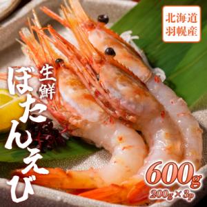 ふるさと納税 羽幌町 超速リキッド凍結でドリップゼロ!北海道羽幌産生鮮ぼたんえび 600g【0311...