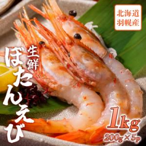 ふるさと納税 羽幌町 超速リキッド凍結でドリップゼロ!北海道羽幌産生鮮ぼたんえび 1kg【03119...