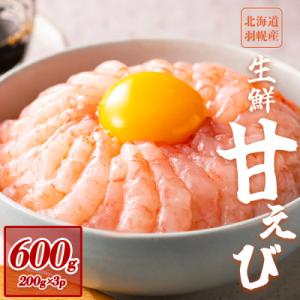 ふるさと納税 羽幌町 超速リキッド凍結でドリップゼロ!北海道羽幌産生鮮甘えび 600g【031210...