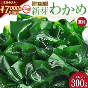 ふるさと納税 気仙沼市 新芽 わかめ【漁師さんからのおすそわけ】300g(約100g×3袋) [20564375]海藻