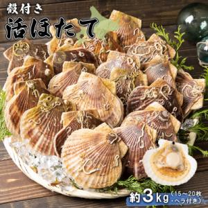 ふるさと納税 羽幌町 北海道羽幌町産 殻付き活ホタテ 約3kg(15〜20枚・ヘラ付き)