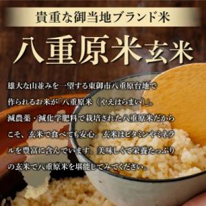 ふるさと納税 東御市 令和8年新米受付!八重原米2kg(2kg×1袋)玄米　※2026年10月以降順次発送|笹屋農園