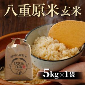 ふるさと納税 東御市 令和8年新米受付!八重原米5kg(5kg×1袋)玄米 ※2026年10月以降順次発送|笹屋農園