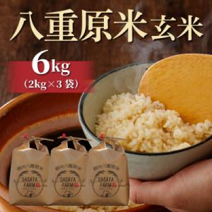 ふるさと納税 東御市 令和8年新米受付!八重原米6kg(2kg×3袋)玄米 ※2026年10月以降順次発送|笹屋農園