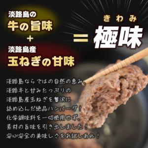 ふるさと納税 淡路市 淡路島 極味ハンバーグ ...の詳細画像1