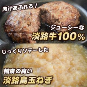 ふるさと納税 淡路市 淡路島 極味ハンバーグ ...の詳細画像2