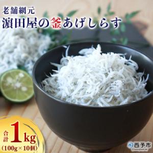 ふるさと納税 西予市 <老舗網元　濱田屋の釜あげしらす>　シラス　釜揚げ　海産　明浜　西予　ちりめん　産地　減塩