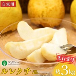 ふるさと納税 三条市 先行受付 ル レクチェ 自家用 約3kg 洋梨 JGAP認証農場 幻の西洋梨 ...
