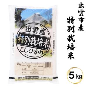 ふるさと納税 出雲市 特別栽培米　出雲市産コシヒカリ　5kg【1_1-045】