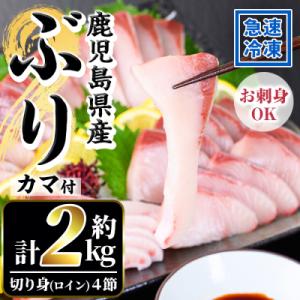 ふるさと納税 いちき串木野市 【先行予約】鹿児島県産養殖ぶり(ハマチ)の切り身「ロイン4節・カマ2個...